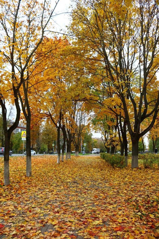 Photograph by Светлана Шуткова