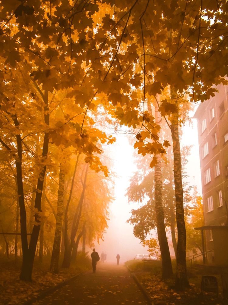 Photograph by Любовь Бусова