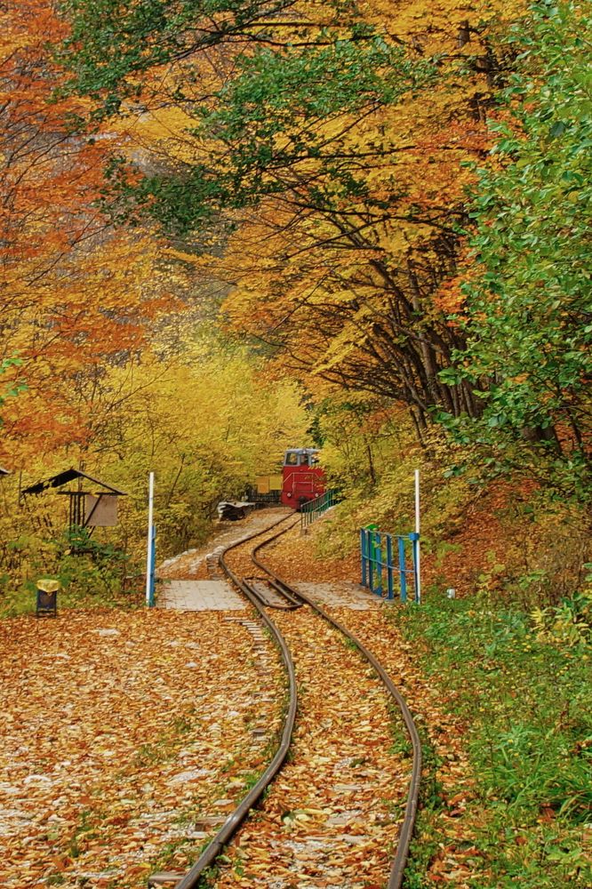 Photograph by Андрей Евтеев