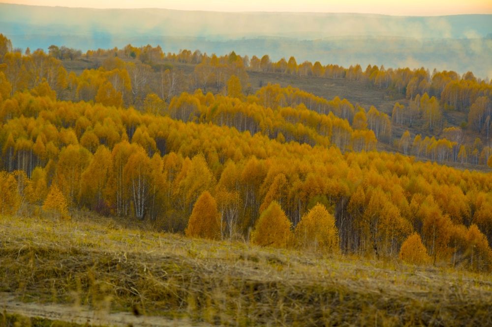 Photograph by Михаил Лавренков