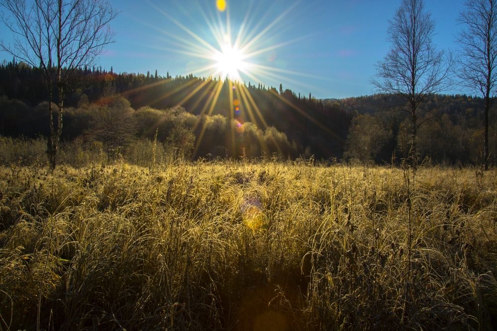 осенний восход