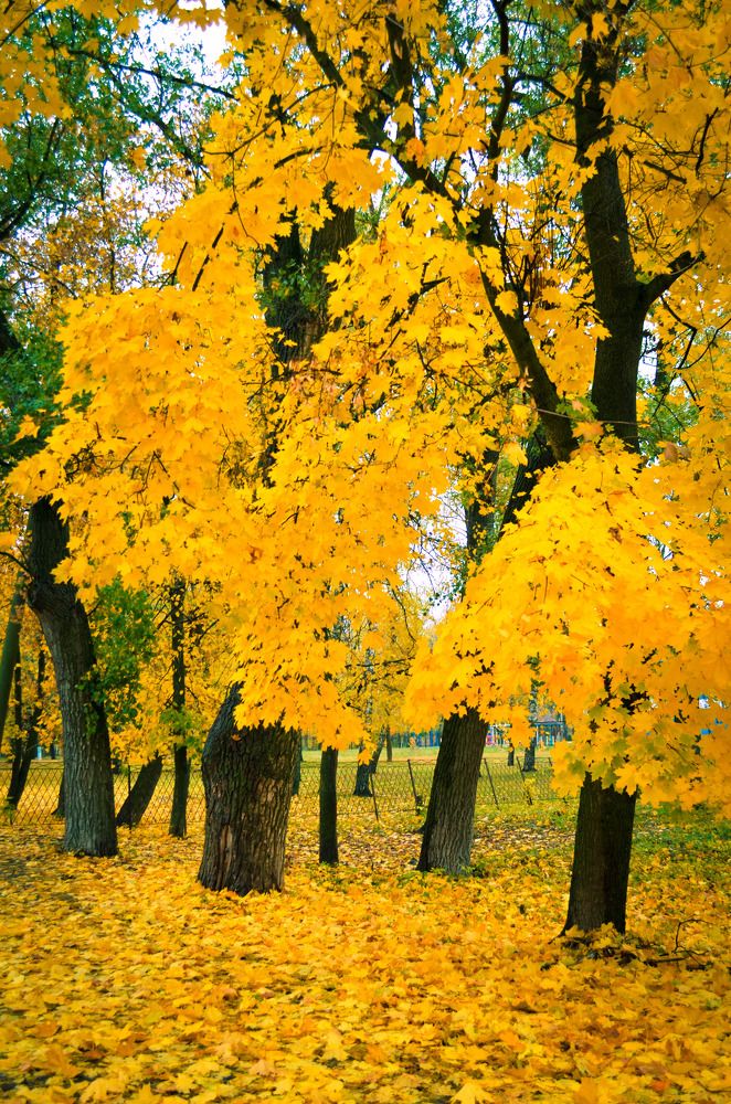 Photograph by Евгений Юдин