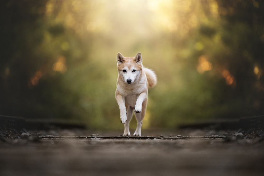 Фотография автора Rut Casanellas