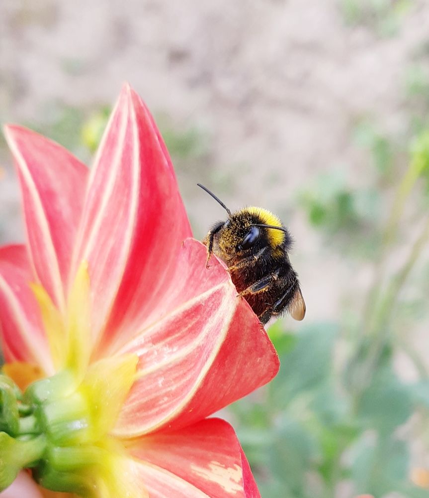 Фотография автора Ирина Лукьянчик