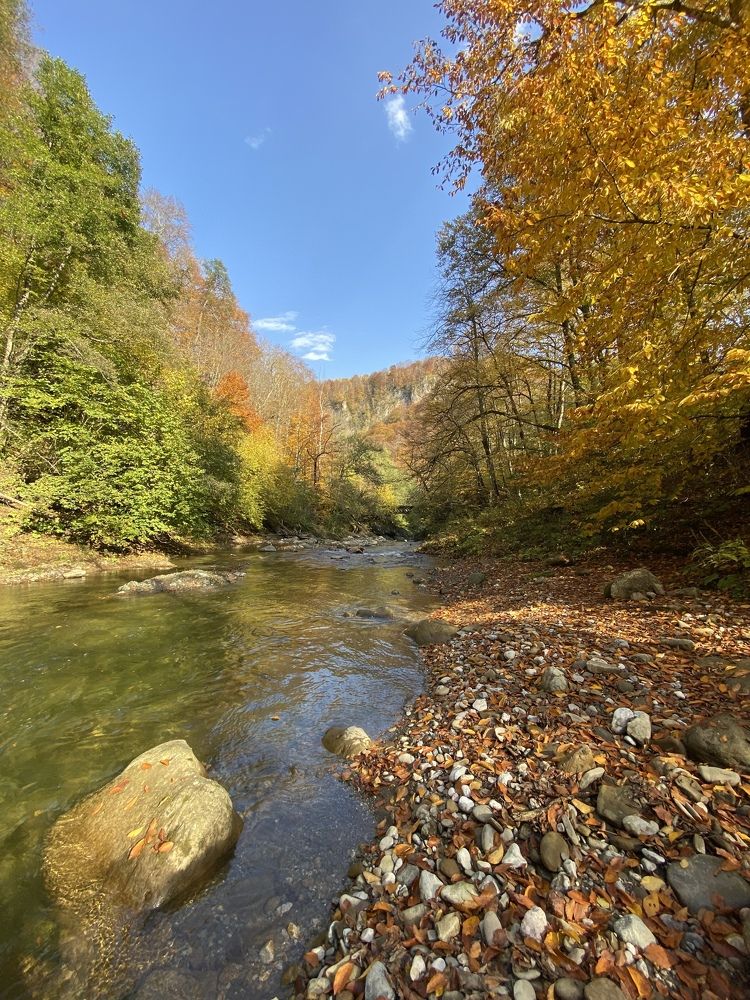 Photograph by Алиса Лукина