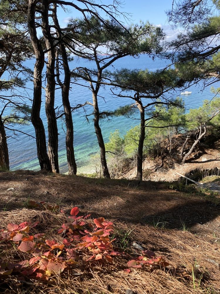 Photograph by Алиса Лукина