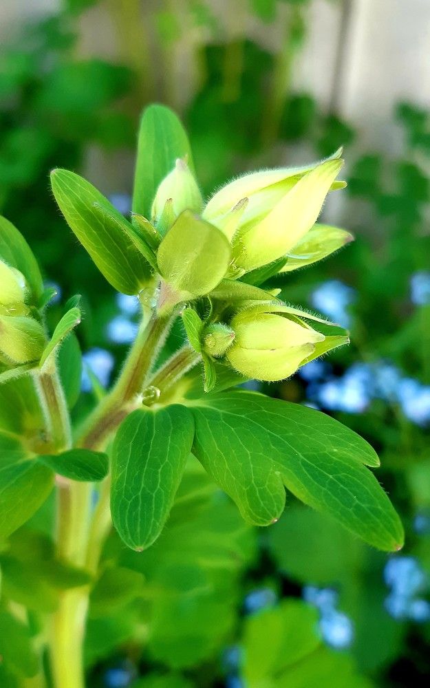 Фотография автора Ирина Лукьянчик