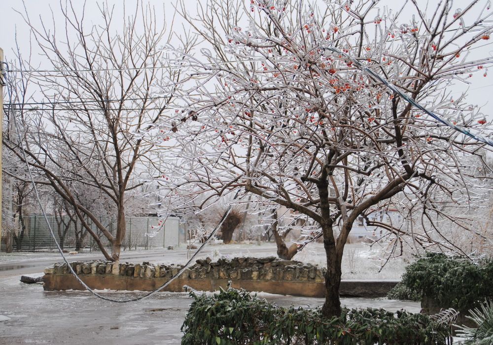 Photograph by Инна Сечко