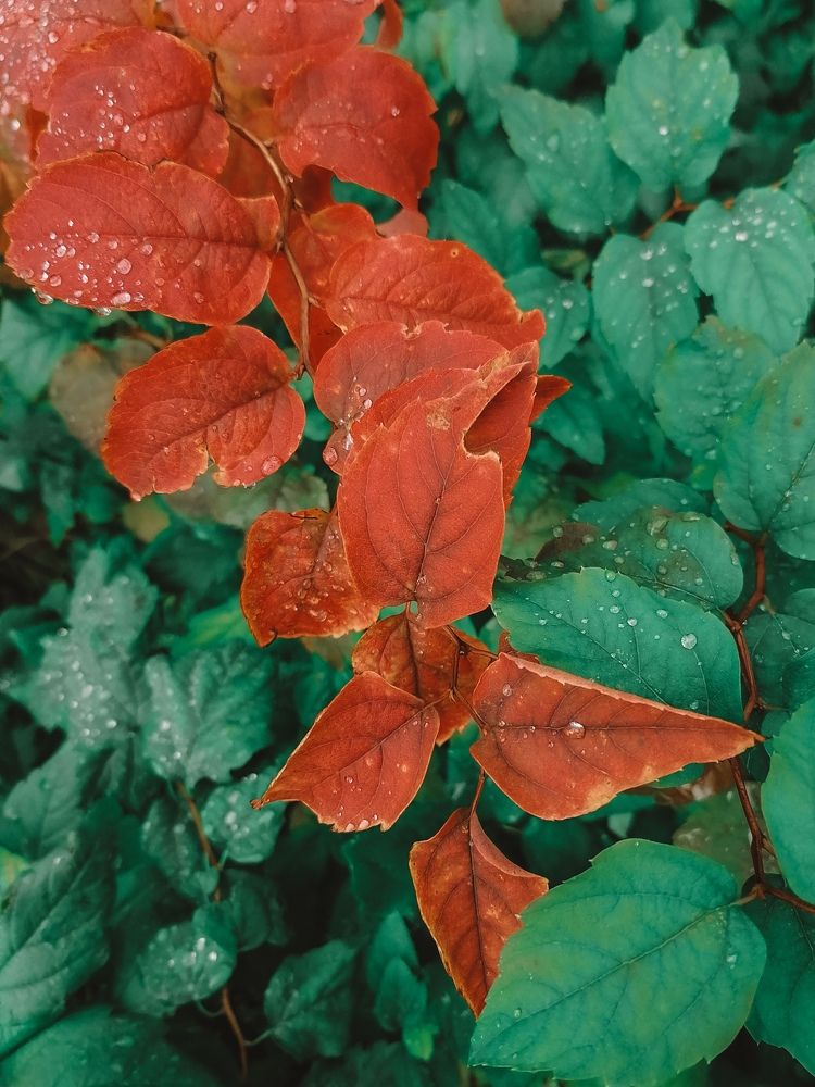 Photograph by Ирина Забродина