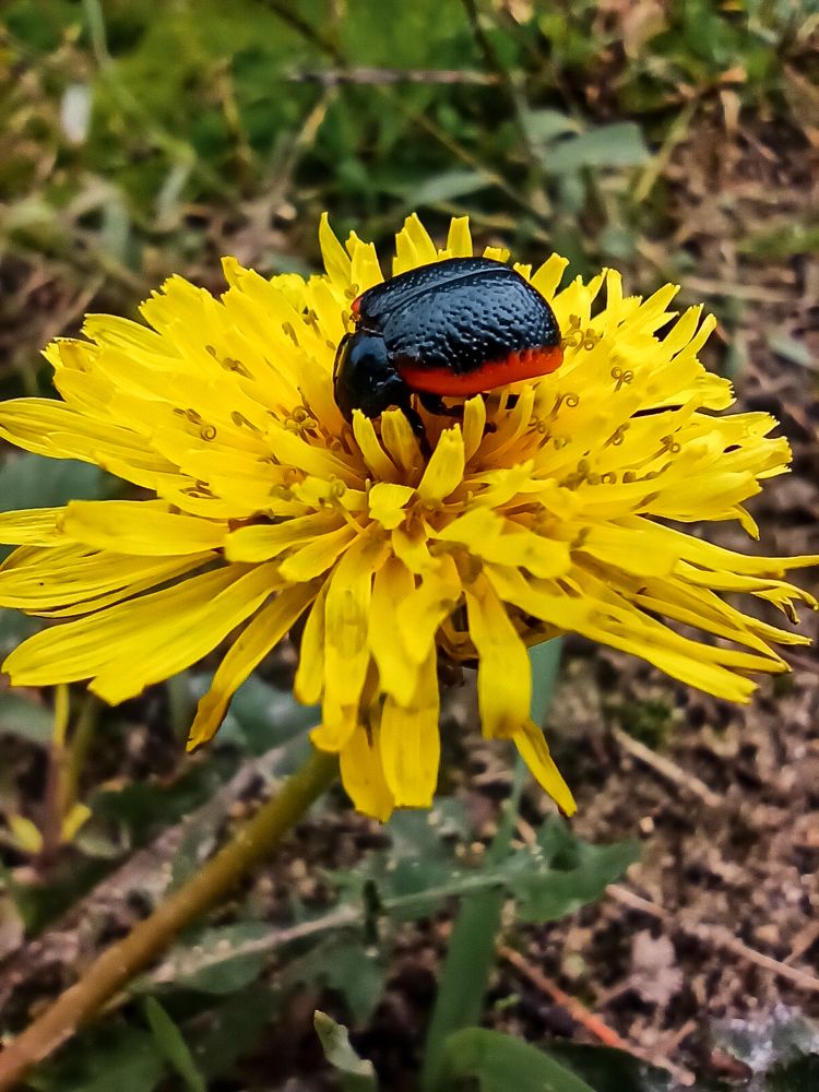 Photograph by Ирина Дегтярева