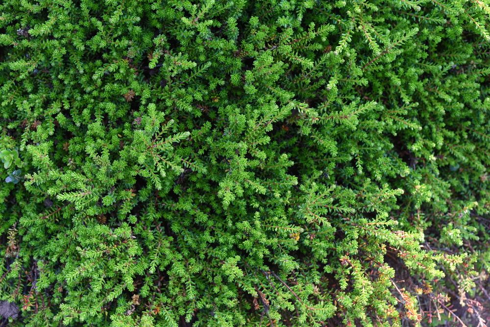 Photograph by виктория воронова