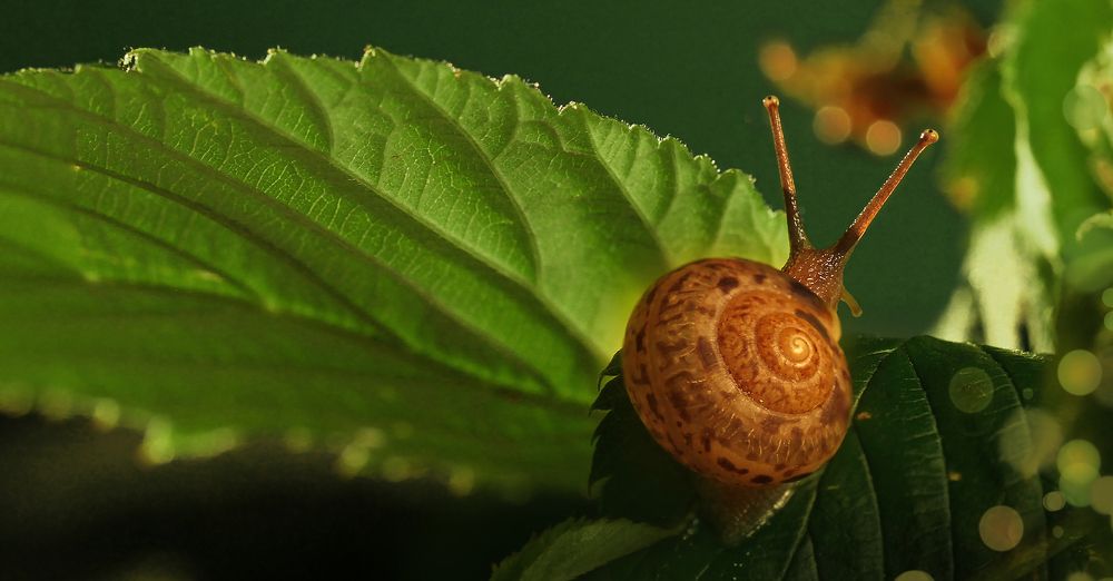 Photograph by Алена Полетаева