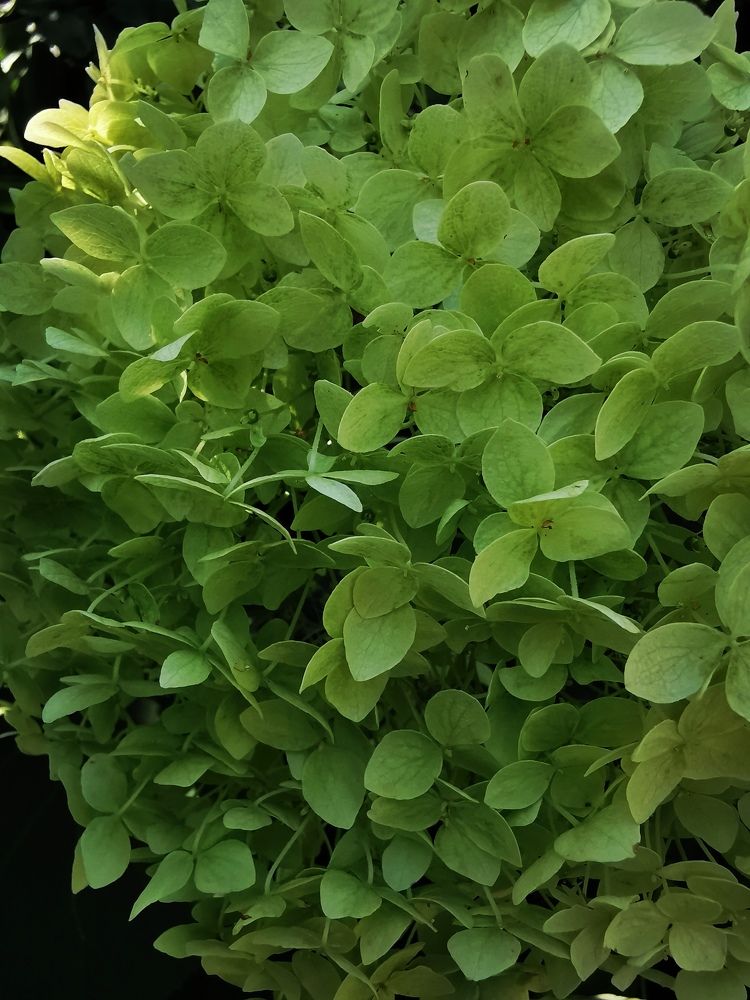 Photograph by Анастасия Прейс