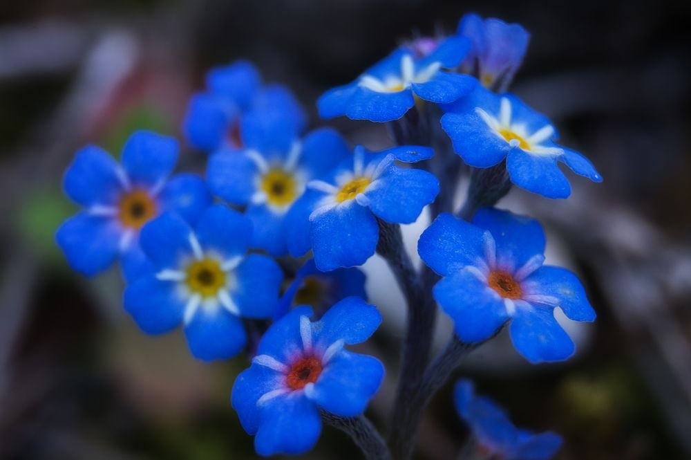 Photograph by Сергей Черкасов