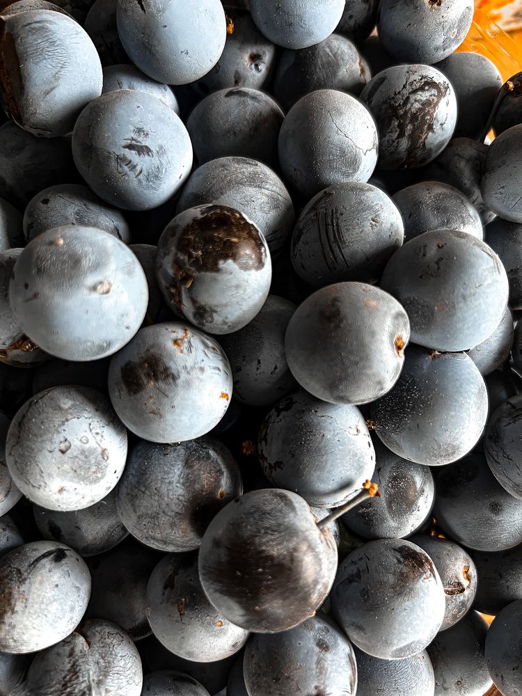 Photograph by Индира Кузнецова