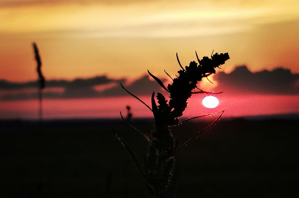 Photograph by Анастасия Прейс