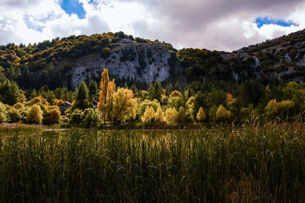 Photograph by Teresa Molinaro