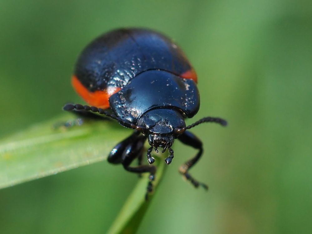 Photograph by Елена Харитонова