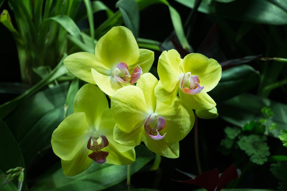 Photograph by Елена Кондратьева