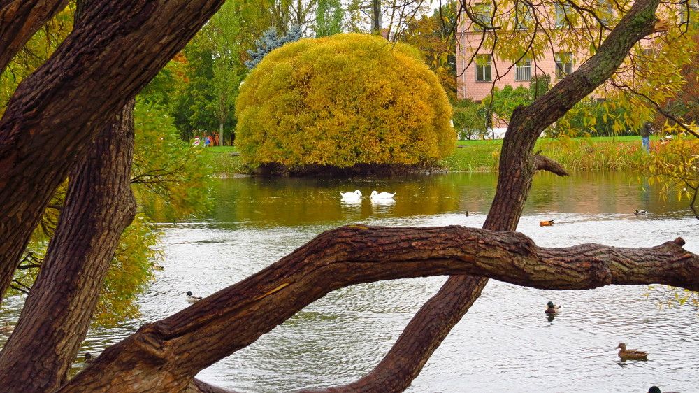 Photograph by Елена Казарина