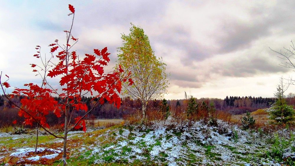 Photograph by Елена Казарина