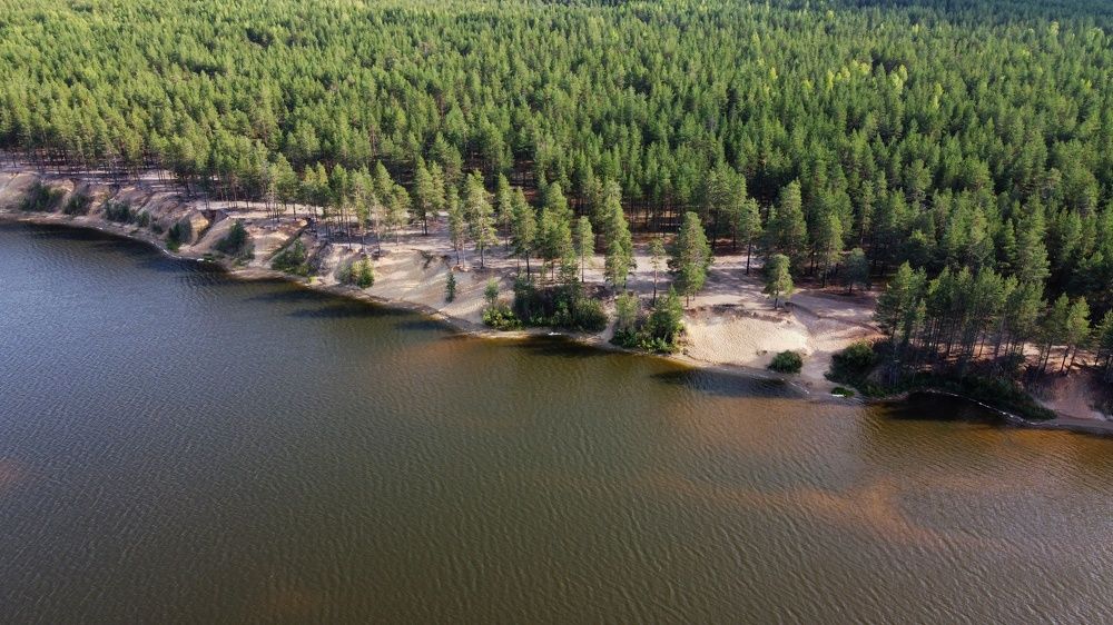 Photograph by Максим