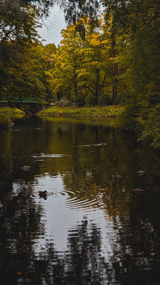 Photograph by Дарья Макаревич