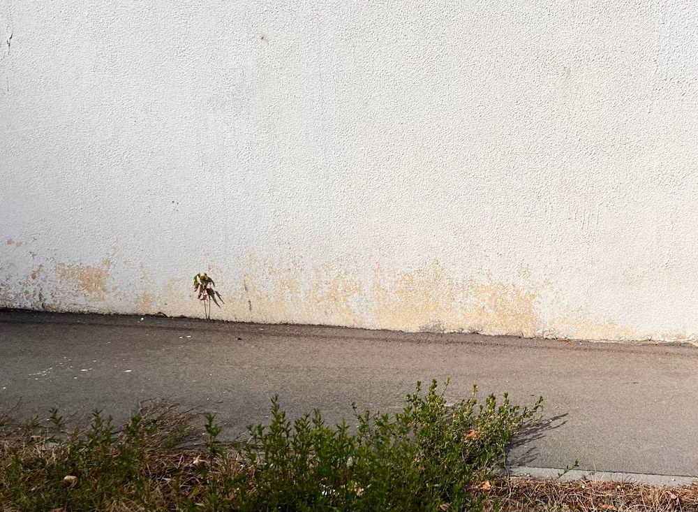 Photograph by Захарова Елена