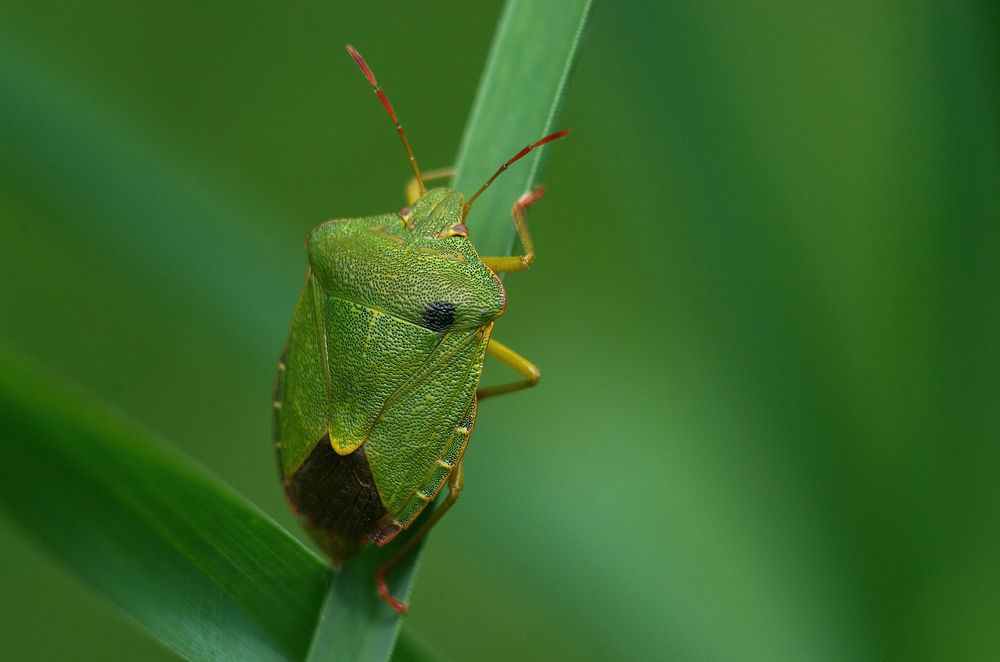 Photograph by Андрей Бурда