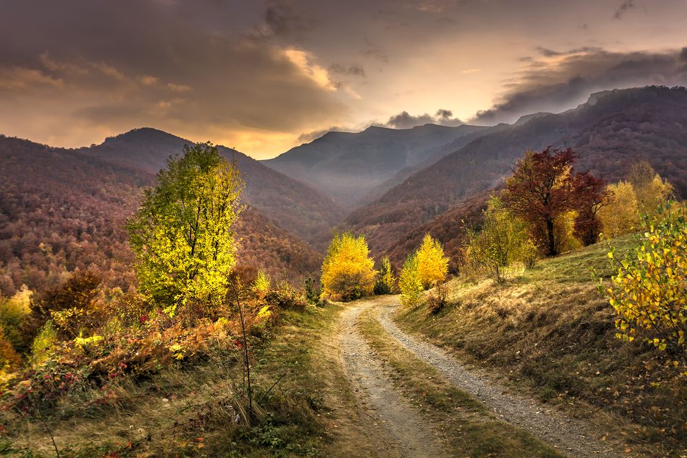 Фотография автора Milena Ivanova