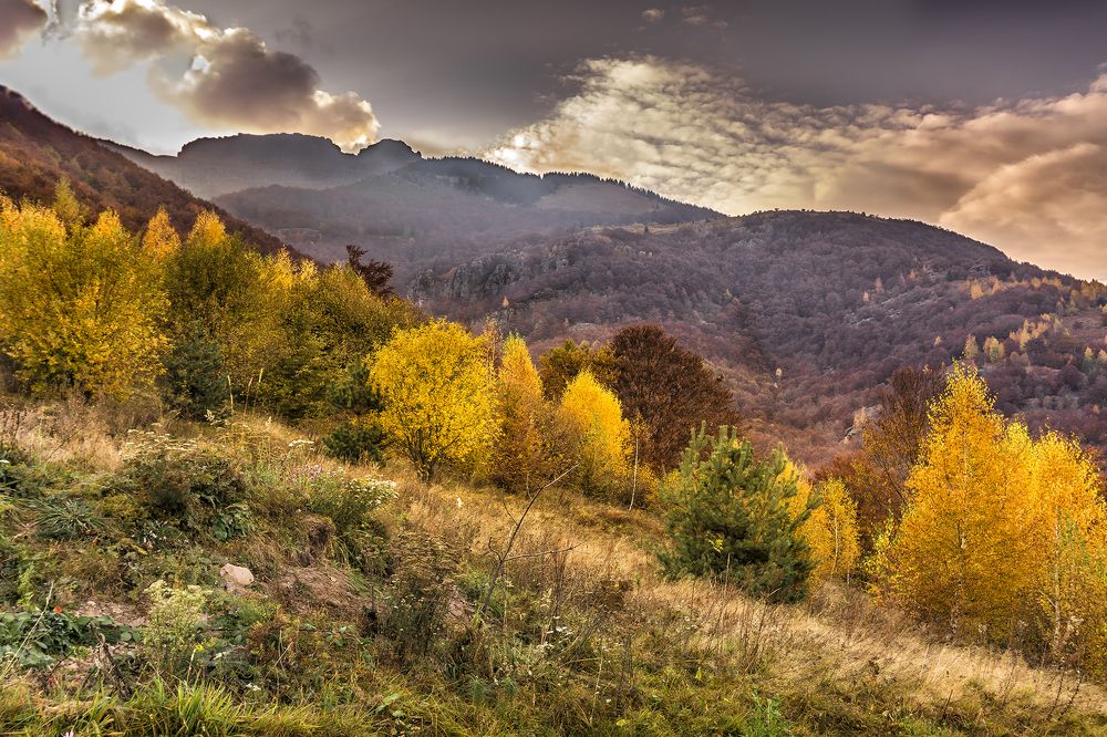 Фотография автора Milena Ivanova