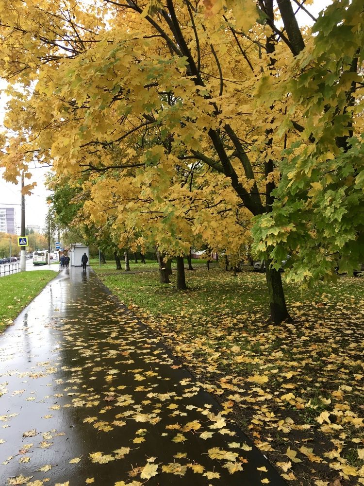 Photograph by Елена Макуха