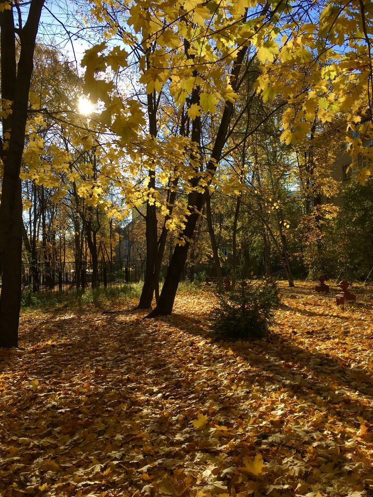 Photograph by Елена Макуха