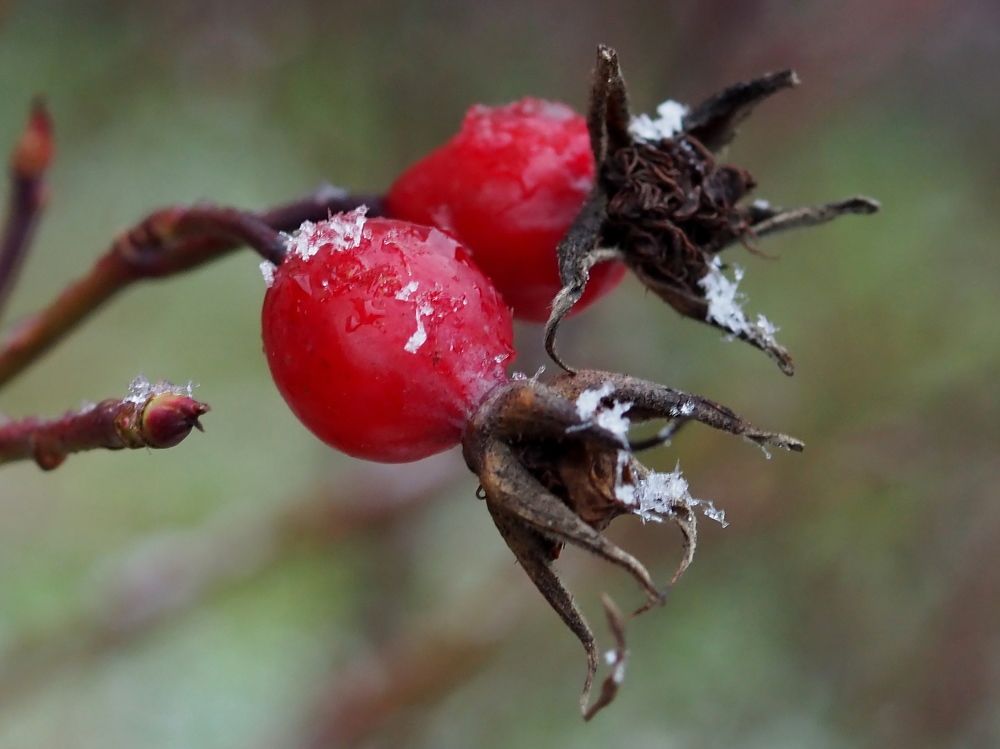Photograph by Елена Харитонова