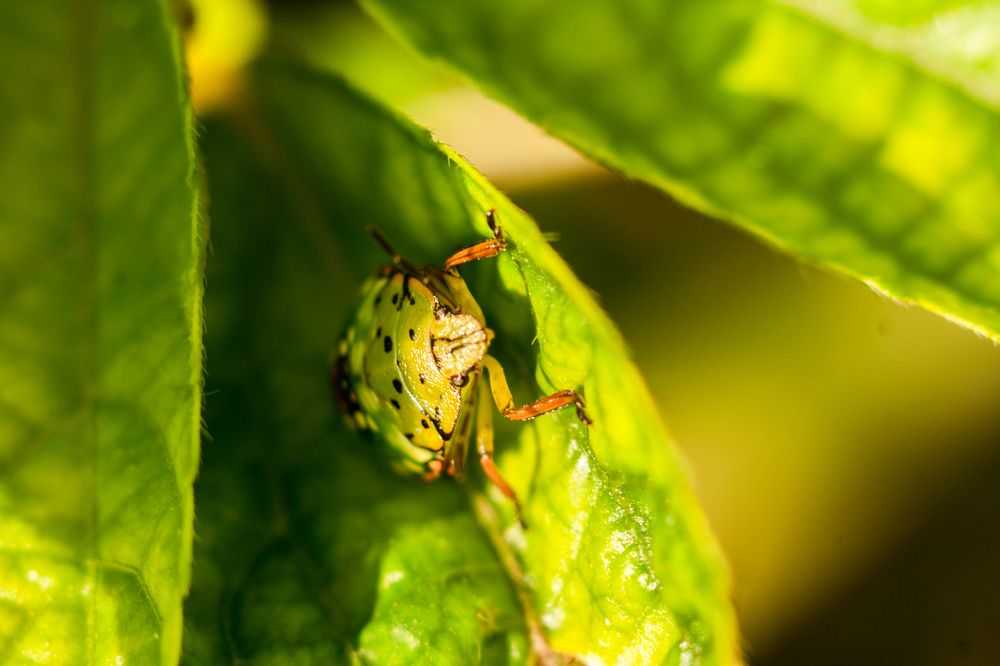 Photograph by Редько Александр