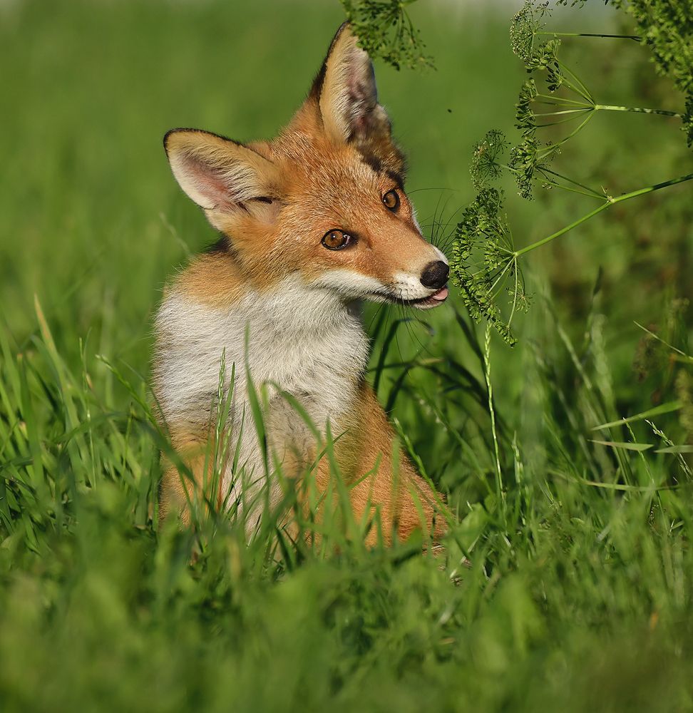 Photograph by Елена