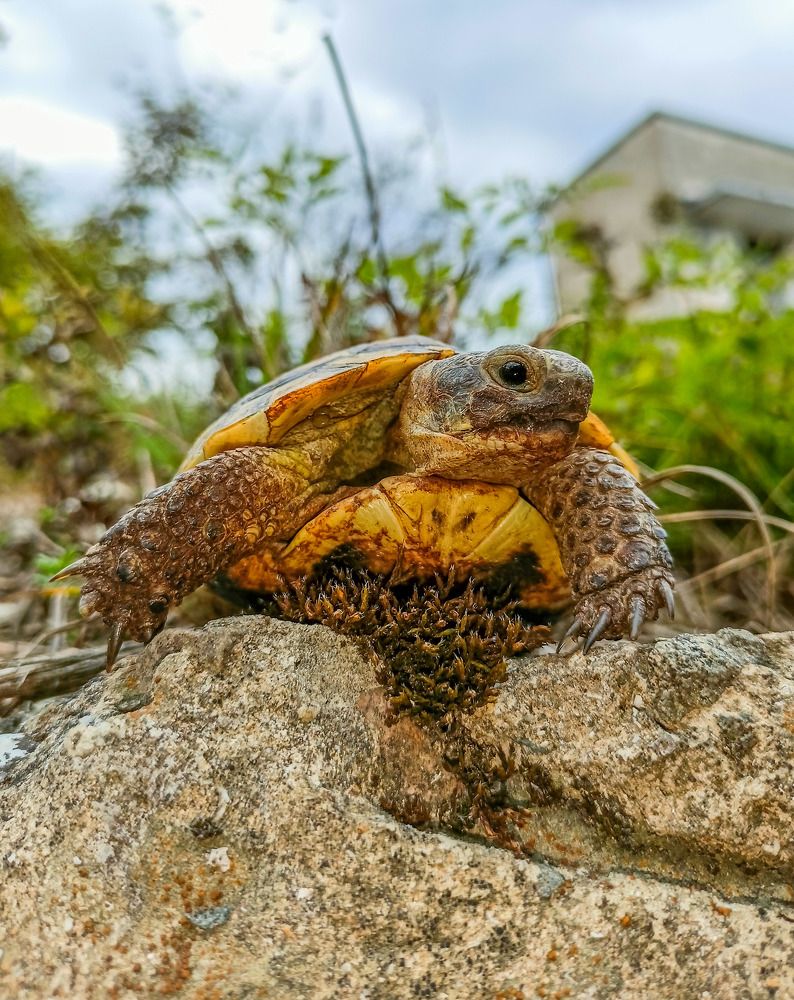 Photograph by Олег Башкуров