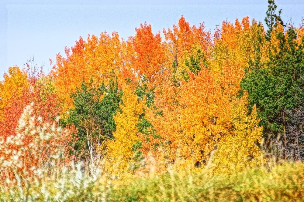 Photograph by Андрей Елькин