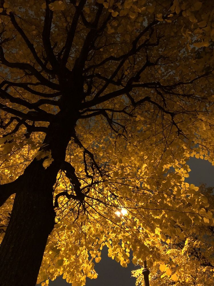 Photograph by Мария Бессмертная