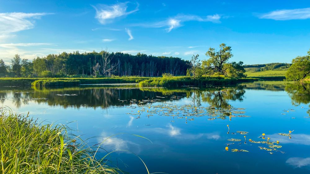 Фотография автора Илиза Майнурова