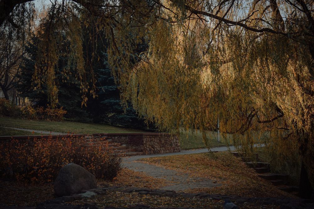 Фотография автора Ксения Вабищевич