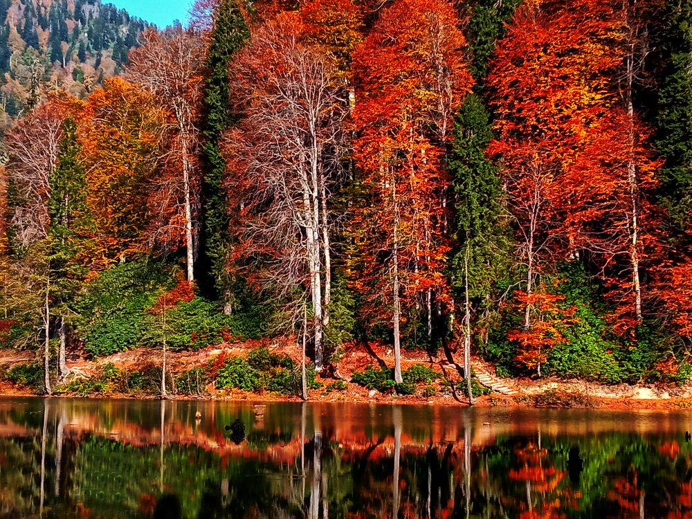 Photograph by Muzaffer Sütlüoğlu