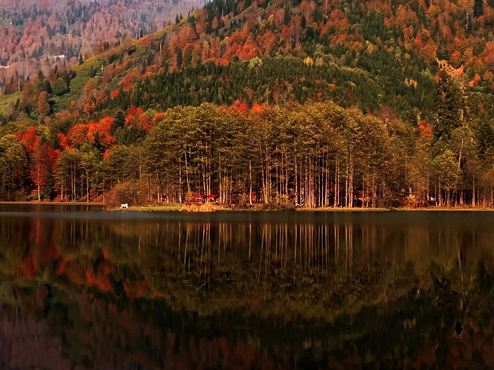 Photograph by Muzaffer Sütlüoğlu