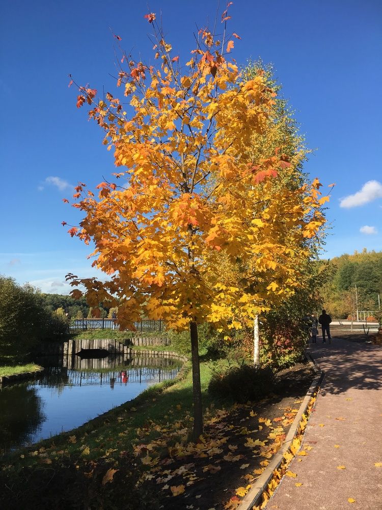 Photograph by Елена Макуха