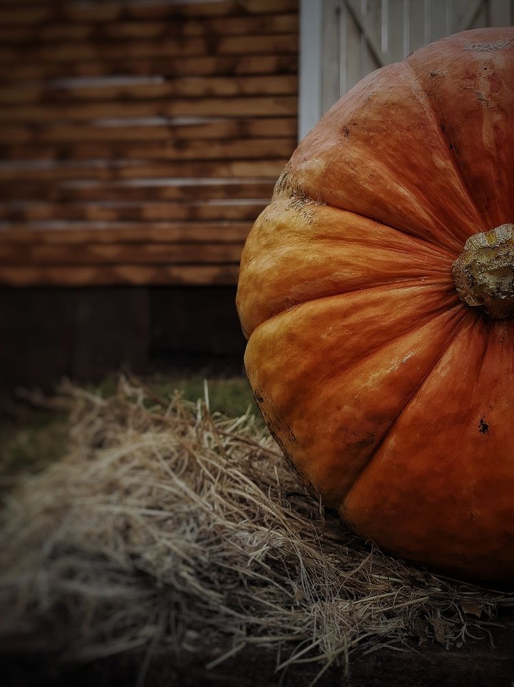 Photograph by Ксения Олина