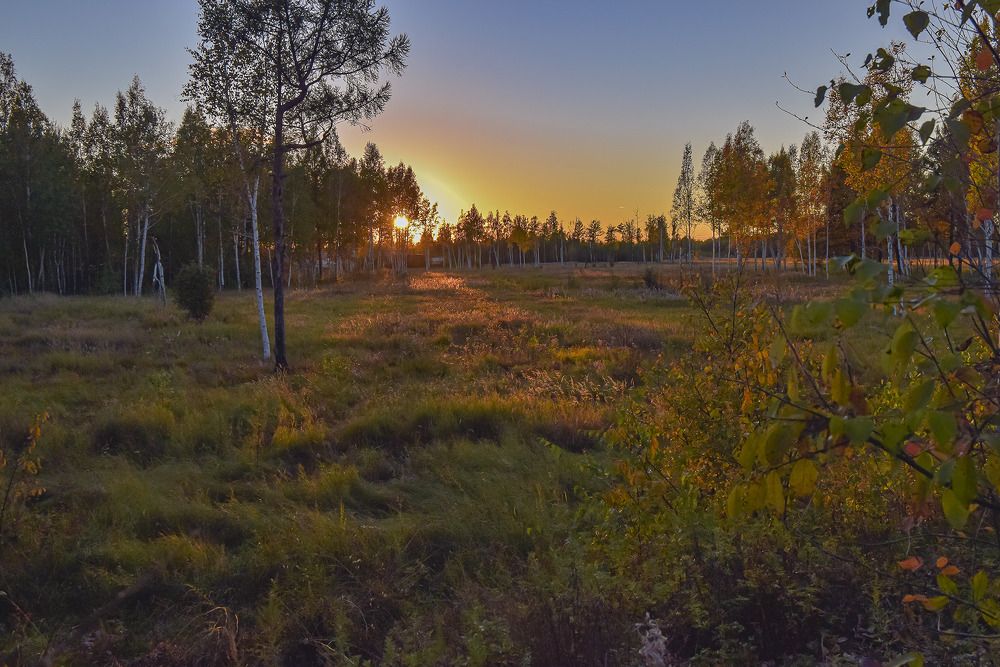 Photograph by Блохина Ольга