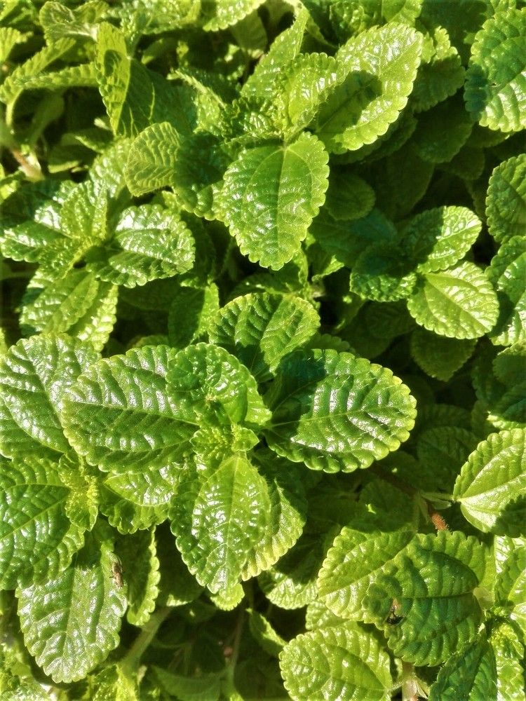 Photograph by Наталья Галай