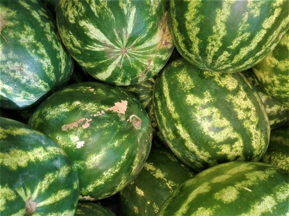 Photograph by Наталья Галай