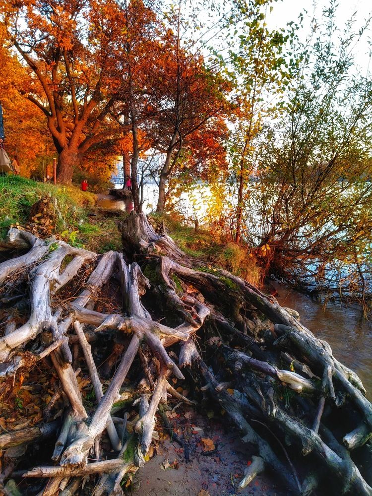 Фотография автора Марина Алексеевская