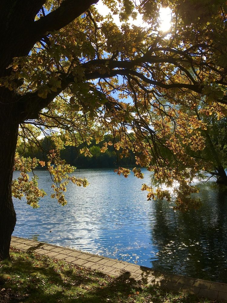 Photograph by Елена Макуха